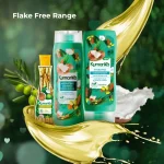 Flake Free Range Value Pack